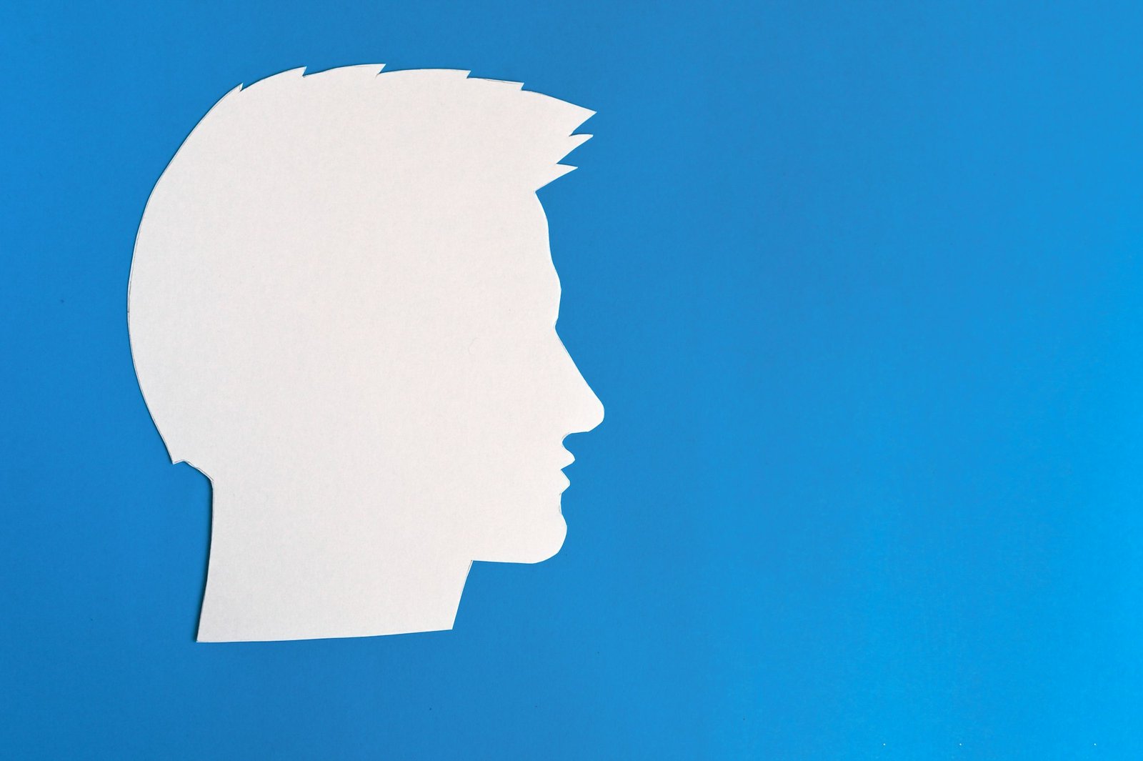 The silhouette of the guy's head. a concept with copy space. cut out of paper on a blue background.